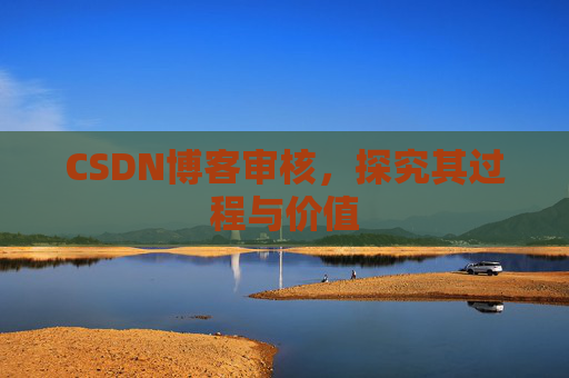 CSDN博客审核，探究其过程与价值